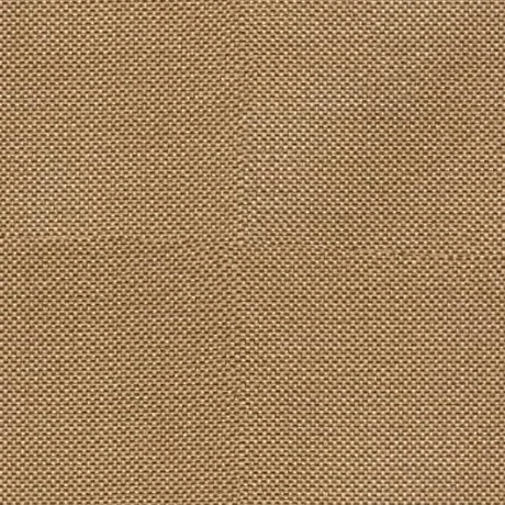 Canvas Tan fabric swatch
