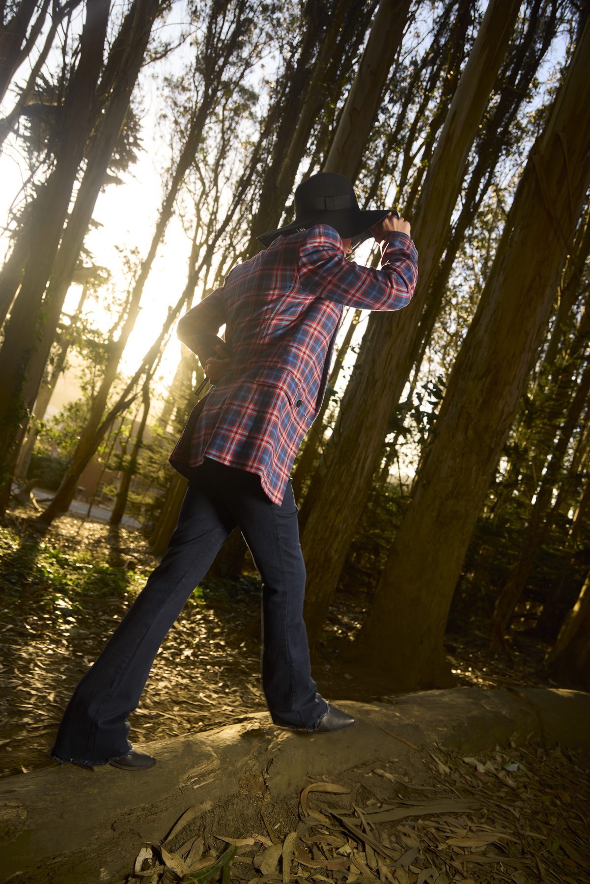 Model from behind, backlit by low sun through the trunks